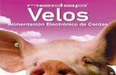 Alimentación Electrónica de Cerdas - Cloud Object … · De esta forma AEC Nedap Velos contribuye de forma tangible a la eficiencia y la rentabilidad de las granjas porcinas en