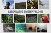Calendario Ambiental 2013 - morelia.gob.mx · Día internacional del agua Día de la medicina natural Día de la Naciones Unidas Foto CIST Xcaret Quintana roo . Noviembre Día del
