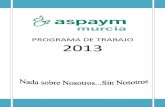 PROGRAMA DE TRABAJO 2013 - aspaymmurcia.org€¦ · Fase II: Refinamiento de la ... Nuevo Equipo Rehabilitador para la Actividad de Fisioterapia en la planta ... El objetivo es proporcionarles