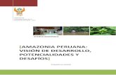 AMAZONIA PERUANA: VISIÓN DE DESARROLLO, POTENCIALIDADES Y ... · un territorio que alberga una gran diversidad cultural y biodiversidad; y donde el reto de la sostenibilidad es gestionar