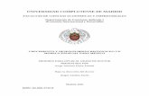 UNIVERSIDAD COMPLUTENSE DE MADRID - …biblioteca.ucm.es/tesis/cee/ucm-t28295.pdf · (Economía Internacional y Desarrollo) ... 4.3.3- Contrastación de la dependencia espacial. ...