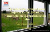 Evaluación seminal para mejorar la fertilidad, su … · "Evaluación seminal para mejorar la fertilidad, su impacto en la reproducción ovina M.V. Domingo Emilio Aguilar, M.Sc.