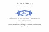 BLOQUE IV - mgmgsite.files.wordpress.com · Al desarrollar los temas de este bloque es importante considerar que la ... costos y potencializar los beneficios a favor de una población.