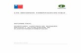LOS RECURSOS FORESTALES EN CHILE - Bibliotecabiblioteca.infor.cl/DataFiles/31535.pdf · planteamiento en terreno y sus posibilidades de incluir errores en las mediciones. ... medición