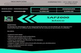 ICI-SAP2000-Virtual virtuales/ICI-SAP2000... · SAP2000 BÁSICO MODALIDAD : PERSONALIZADO INVERSIÓN :  INSCRIPCIÓN 975785265 CONTACTO : (01) …