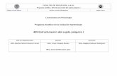 425 Estructuración del sujeto psíquico Ipsicologia.uanl.mx/wp-content/uploads/2014/08/425-PA-ESP-I.pdf · aportes para la comprensión de la subjetividad a partir de una práctica