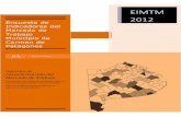 Informe caracteriz Patagones EIMTM 2011 2012 · 1 EIMTM 2012 Encuesta de Indicadores del Mercado de Trabajo Municipio de Carmen de Patagones Informe de Caracterización del Mercado