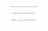 PROYECTO CURRICULAR DE BACHILLERATO IES …ieslbuza.es/.../2015/04/190510_Proyecto_Curricular_Bachillerato.pdf · IES Luis Buñuel Proyecto Curricular Bachillerato.-1 1.- INTRODUCCIÓN