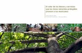 El valor de los bienes y servicios que las áreas …€¦ · El valor de los bienes y servicios que las áreas naturales protegidas ... 10 Valoración de los servicios que las áreas