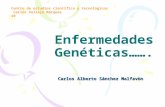 Enfermedades Genéticas……. - MAESTRIA GESTION … · PPT file · Web view2014-04-18 · Centro de estudios científico y tecnológicos Carlos Vallejo Márquez 10 Enfermedades