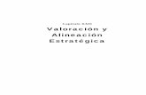 Capítulo XXII Valoración y Alineación Estratégicacel-ucab-ptn.yolasite.com/resources/ADPTI-22-Valoracion-Estrategic... · El valor de los proyectos de TI 379 Valoración y alineación
