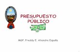 Sin título de diapositiva - Freddy E. Aliendre España · INSTRUMENTOS Y POLITICAS PRESUPUESTARIAS SISTEMA DE PRESUPUESTO (SDP) ... Financiera Centro de Com puto Centro de bioingeniería.