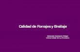 Calidad de Forrajes y Ensilaje - praderasypasturas.compraderasypasturas.com/.../2005/20.-Calidad_de_Forrajes_y_Ensilaje.pdf · Aspectos críticos de la curva de crecimiento de la