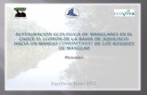 Jiquilisco, Junio 2012 - Asociación Mangle · la mitigación de desastres y el desarrollo en el Bajo Lempa-Bahía de ... como una de sus causas la tala de mangle realizada por la