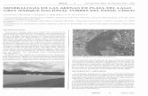 MINERALOGÍA DE LAS ARENAS DE PLAYA DEL … · Figura 2.-Detalle de un punto de muestreo ... ción de Yacimientos Auríferos, de Rocas y Minerales In ... Bruker/ AXS D5005 de los