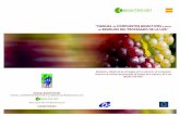 “MANUAL de COMPUESTOS BIOACTIVOS a partir de … · compuestos bioactivos a partir de los residuos del procesado del tomate, de la aceituna, y de la uva, así como sobre sus aplicaciones