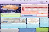 Bioquímica del Alzheimer - 147.96.70.122147.96.70.122/Web/TFG/TFG/Poster/MARCOS PEDROSA SERRANO.pdf · Bioquímica del Alzheimer Aproximaciones terapéuticas Departamento de Bioquímica