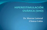 Dr. Marcos Lutteral Clínica Colón - igmdp.com.arigmdp.com.ar/old/download/JornadasControversiaOvarica/Hiperestimu... · DEFINICIÓN El SHO es una complicación que ocurre durante