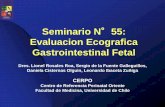 Seminario N 55: Evaluacion Ecografica Gastrointestinal …cerpo.cl/_items/File_002_00652_0010.pdf · principalmente gastrosquisis se complican con obstrucción intestinal, asociación
