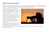 Observación de aves - Junta de Andalucía · J-598-MOR Entre el cielo y el agua : aves marinas / Textos de Juan Moreno Klemming. J-598-SER Las migraciones de las aves / ... TG-598-RIV-gui