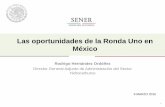 Las oportunidades de la Ronda Uno en Méxicoenergiaadebate.com/wp-content/uploads/2015/03/Ronda1.pdf · Se prevé la perforación de por lo menos 26 pozos exploratorios en los próximos