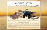 101 ESPECIES REPRESENTATIVAS DE COLOMBIAeduteka.icesi.edu.co/pdfdir/Biodiversidad09A.pdf · 101 ESPECIES REPRESENTATIVAS DE COLOMBIA PASO DEL TIGRE, OCÉANO PACÍFICO - VALLE DEL