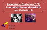 Laboratorio Disciplinar N°3: Inmunidad humoral … · INMUNOLOGIA Facultad de Ciencias Médicas - UNR ... • Confiere protección local frente a ciertos patógenos grandes, como