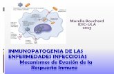 INMUNOPATOGENIA DE LAS ENFERMEDADES … · inmunidad innata frente a los hongos son los neutrófilos y los macrófagos. ... •Los fagocitos también atacan a los helmintos para destruirlos,