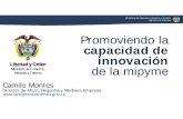 Promoviendo la capacidad de innovación - oas.org · Ministerio de Comercio, Industria y Turismo República de Colombia Promoviendo la capacidad de innovación de la mipyme Libertad