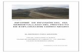 INFORME DE REVISIÓN DEL EIA SEMIDETALLADO DEL PROYECTO DE ... · Estudio de Impacto Ambiental Semidetallado del Proyecto de Exploración Cerro Negro inicial, el cual fue aprobado