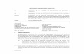 INFORME N° 024-2013/CFD-INDECOPI (Inicio... · INFORME N° 024-2013/CFD-INDECOPI A : Miembros de la Comisión de Fiscalización de Dumping y Subsidios De ... de acero LAC, y ratificaron