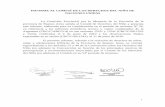 INFORME AL COMITÉ DE LOS DERECHOS DEL …tbinternet.ohchr.org/Treaties/CRC/Shared Documents... · preocupación y recomendaciones enunciadas por el Comité de los Derechos del Niño