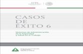 CASOS DE ÉXITO 6 - stps.gob.mx · Casos de éxito 2010 Tomo 6 Programa de Autogestión en Seguridad y Salud en el Trabajo Sistemas de Administración en Seguridad y Salud en el Trabajo