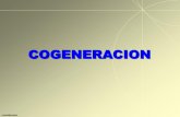 COGENERACION - marinponsasociados.commarinponsasociados.com/PDFINDUSTRIA/cogeneracion.pdf · COGENERACION COGENERA2000. Cogeneración Producción simultanea de calor de proceso y
