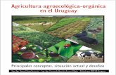 Agricultura agroecológica – orgánicawebs.chasque.net/~rapaluy1/publicaciones/Agricultura... · 2008-10-07 · Orgánico de Hierbas Aromáticas y Medicinales. ... Destino de la