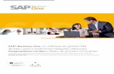 SAP® Business One, un software de gestión ERP de … · Una solución pensada para atender las necesidades, requerimientos y ... Business One mejorará la productividad, ... Permite