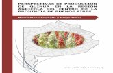 PERSPECTIVAS DE PRODUCCIÓN DE QUINUA EN …quinua.pe/wp-content/uploads/2016/11/Quinua-2.pdf · cmax@faa.unicen.edu.ar . Agradecimientos ... a suelos salados y alcalinos y ambientes