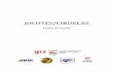 JOCOTES/CIRUELAS - resultados1.comresultados1.com/caja-ue/images/stories/fichas/honduras/hn-jocotes... · Jocotes/Ciruelas No. 19, Mercado: Unión Europea 4 El consumo de frutas frescas