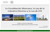 Presentación de PowerPoint - RU-Económicasru.iiec.unam.mx/3515/1/Pedro Guerra Morales.pdf · Las necesidades de energía, Potencia y CELs del Suministrador cubiertas por estos contratos