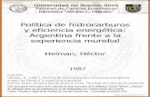 Política de hidrocarburos y eficiencia energética ...bibliotecadigital.econ.uba.ar/download/tesis/1501-1117_HelmanH.pdf · 30 Mercado Petrolero Argentino 135 31 Producción de Petróleo
