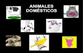 ANIMALES DOMÉSTICOS · ANIMALES DOMÉSTICOS MªÁngeles Morales Domínguez. CABRA Animal mamífero ... una cola muy grande y hermosa en el macho, de color verde brillante, que