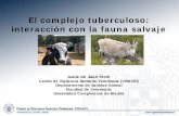 El complejo tuberculoso: interacción con la fauna salvaje · animales y al hombre, pudiendo cursar de manera asintomática o con diferentes cuadros clínicos. ¿Qué es la tuberculosis?