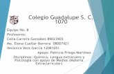 Colegio Guadalupe S. C. 1070 - …conexiones.dgire.unam.mx/wp-content/uploads/2017/09/Equipo-8-Qu... · Un aprendizaje donde trabajan alumnos en conjunto para maximizar el ... aprendizaje),