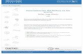 Determinación del fósforo en los acerosdigital.bl.fcen.uba.ar/download/tesis/tesis_n0412_Miller.pdf · cionee alcalinas: muypocosoluble enácido nítrico concentrado ... de manganesoconunas