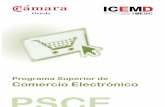 Programa Superior de Comercio Electrónico PSCE informativo_02... · • Segmentación del e-consumidor: Perfiles, análisis cluster, valoración económica y análisis de la demanda.