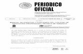 ORGANO DE DIFUSION OFICIAL DEL GOBIERNO - …periodicos.tabasco.gob.mx/media/2009/510.pdf · el presente Manual de Puestos y Funciones, que permite conocer el perfil de cada puesto