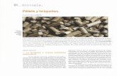 Pélets y briquetas - AITIM - Asociación de Investigación de …infomadera.net/uploads/articulos/archivo_2293_9990.pdf · No nos referiremos a las briquetas de carbón vegetal.