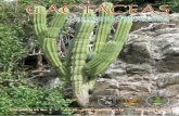 Cactáceas y Suculentas Mexicanas - Au Cactus … · Opuntia es considerado un género representativo de la familia, con cer-ca de 191 especies, ampliamente distribuido en América