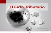 El Ciclo Tributario - cmas.siu.buap.mxcmas.siu.buap.mx/portal_pprd/work/sites/contaduria/resources... · El Ciclo Tributario 1 . 2 ... percepción de riesgo. Es decir, su capacidad