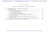 CAPÍTULO PRIMERO - archivos.juridicas.unam.mx · Universidad Nacional Autónoma de México - Instituto de Investigaciones Jurídicas Libro completo en: . 2 ROSALÍA IBARRA SARLAT